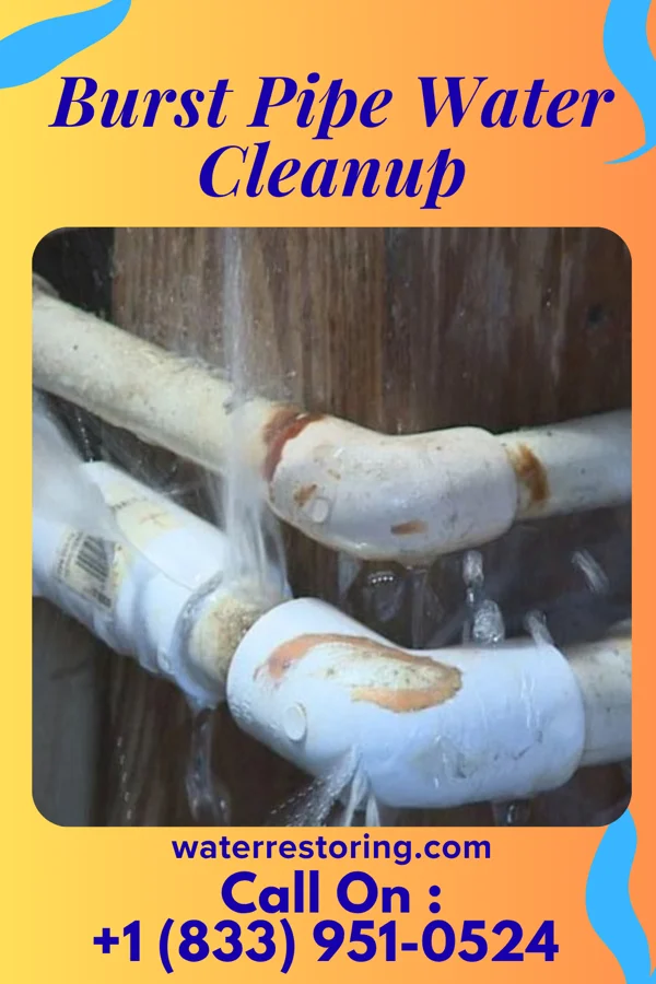 Burst Pipe Water Cleanup in Kearny, NJ