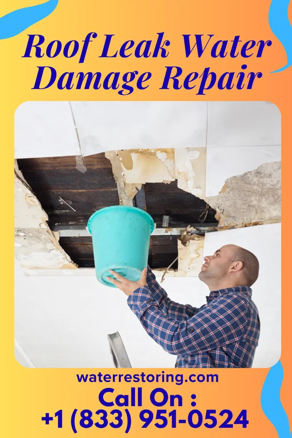 Roof Leak Water Damage Repair in Kearny, NJ