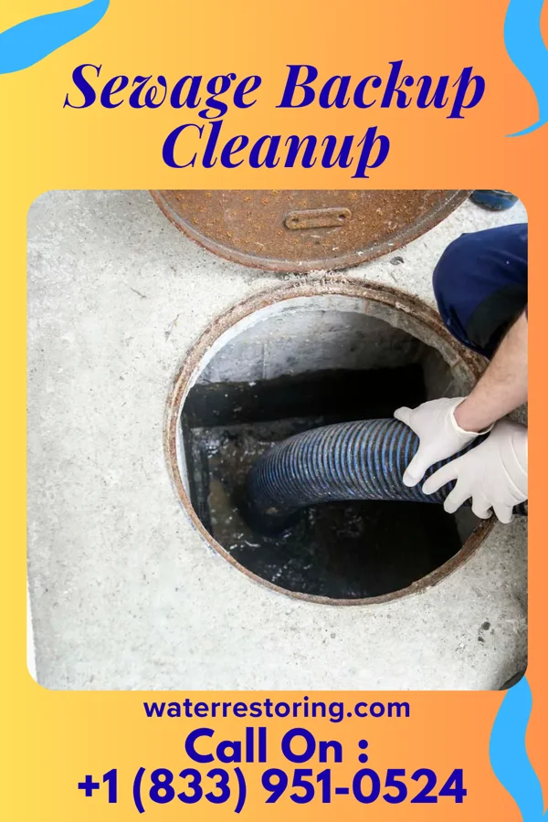 Sewage Backup Cleanup in Kearny, NJ