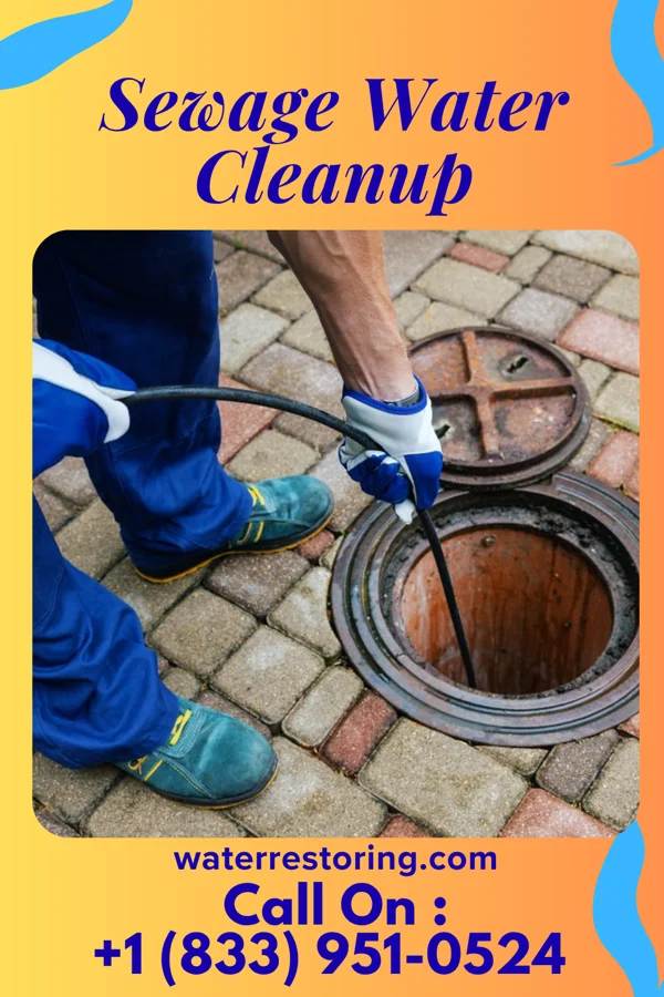 Sewage Water Cleanup in Kearny, NJ